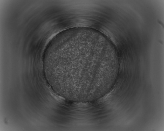 X0000093121027200710171241