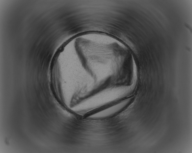 X0000093121028200710171241