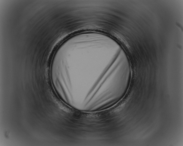 X0000093121029200710171241