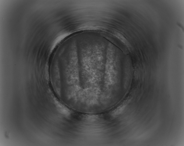 X0000093121030200710171241