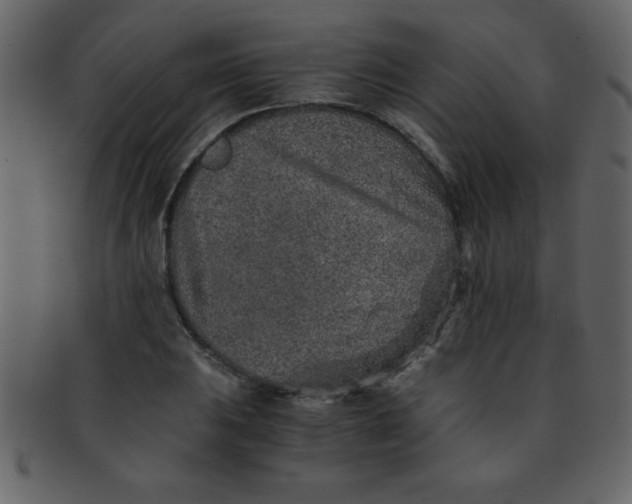 X0000093121031200710171241