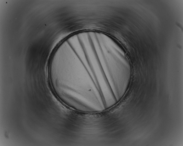 X0000093121032200710171241