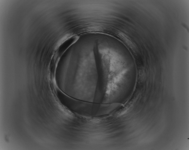 X0000093121034200710171241