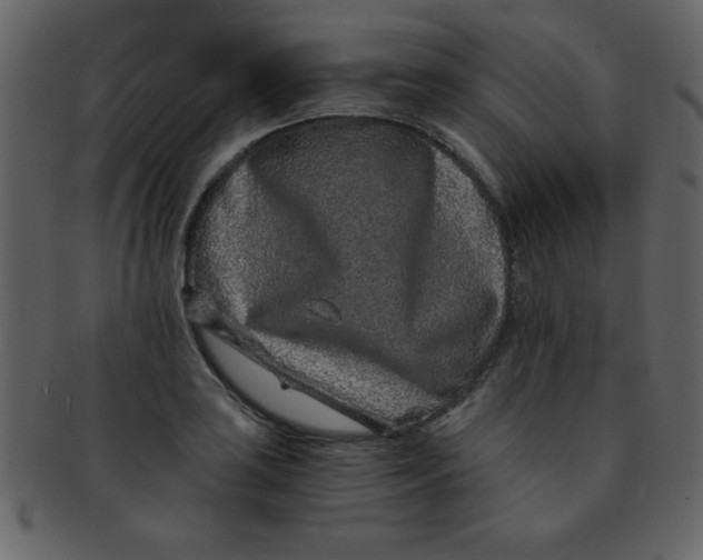 X0000093121035200710171241