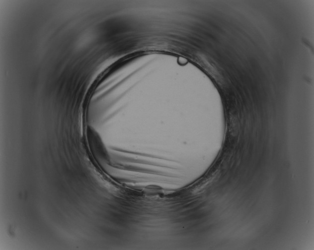 X0000093121036200710171241