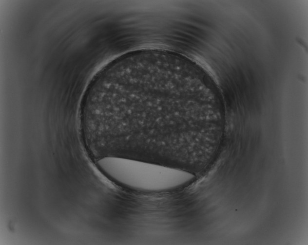 X0000093121037200710171241