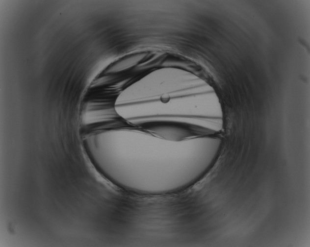 X0000093121038200710171241