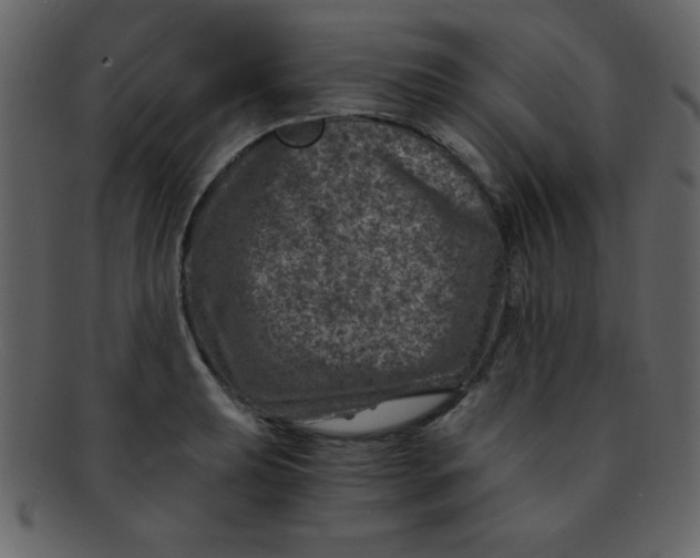 X0000093121039200710171241