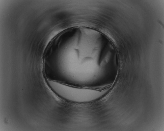 X0000093121040200710171241