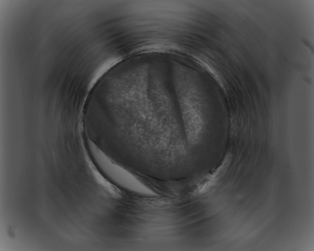 X0000093121042200710171241