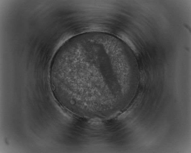 X0000093121043200710171241