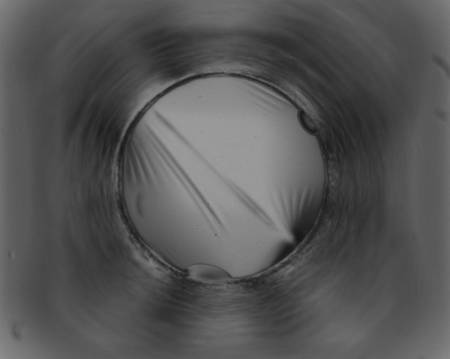 X0000093121044200710171241