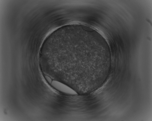 X0000093121045200710171241