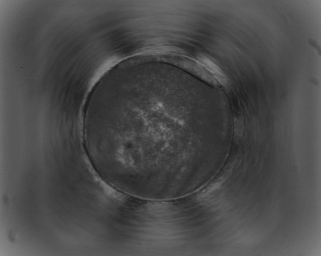 X0000093121046200710171241