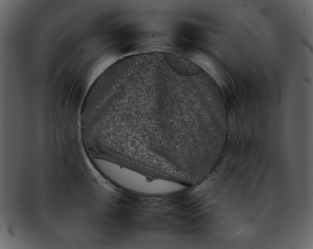 X0000093121047200710171241