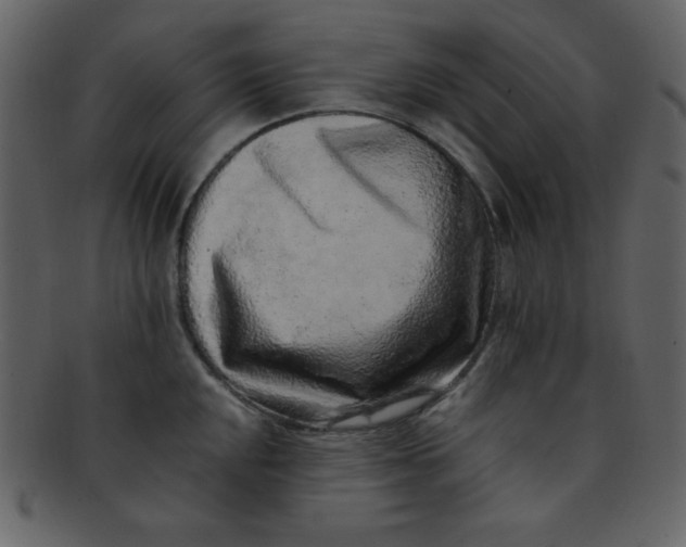 X0000093121048200710171241