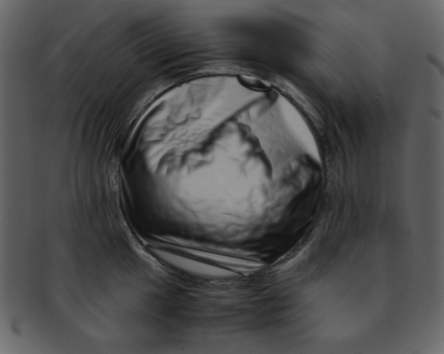 X0000093121049200710171241