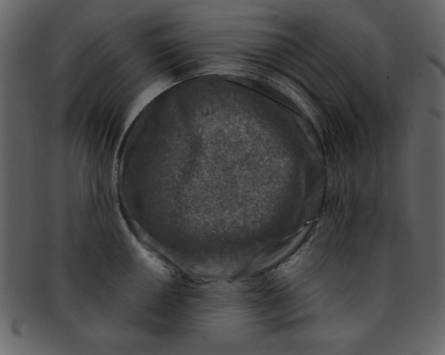 X0000093121050200710171241