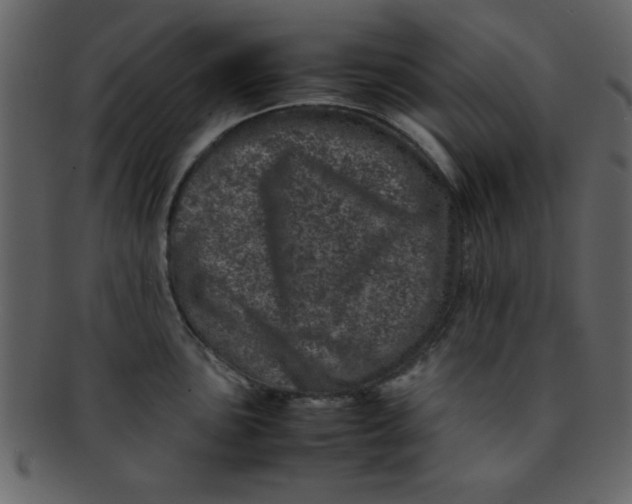 X0000093121051200710171241