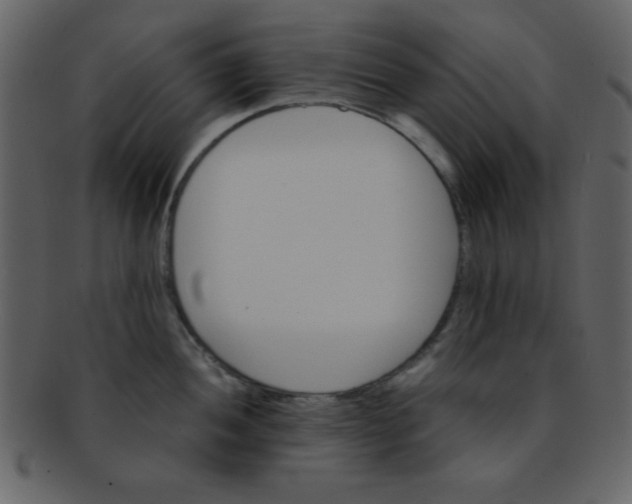 X0000093121052200710171241