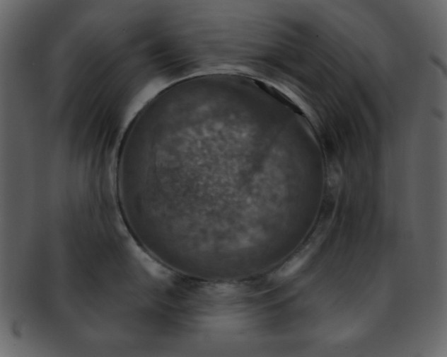 X0000093121054200710171241