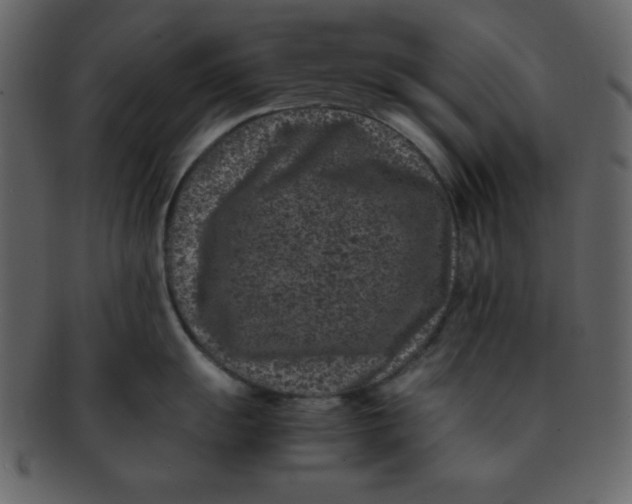 X0000093121055200710171241