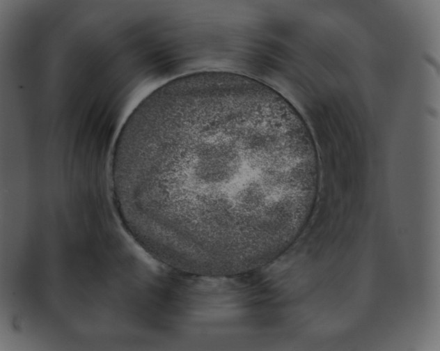 X0000093121056200710171241