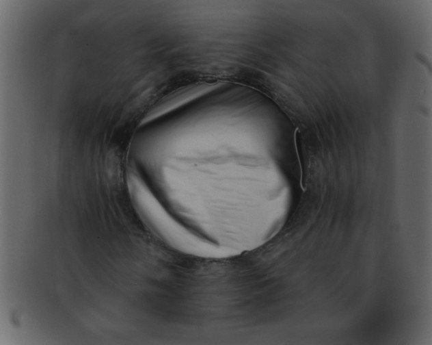 X0000093121058200710171241