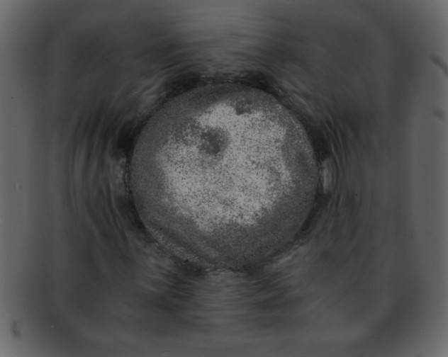 X0000093121059200710171241