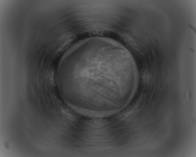 X0000093121060200710171241