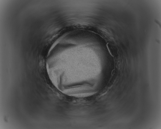 X0000093121061200710171241