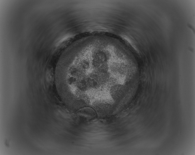 X0000093121063200710171241