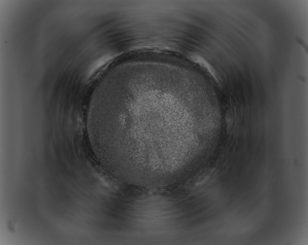 X0000093121064200710171241