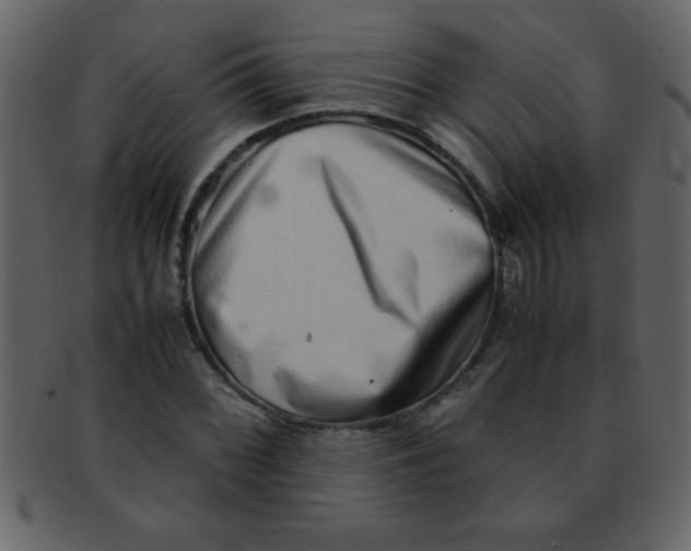 X0000093121068200710171241