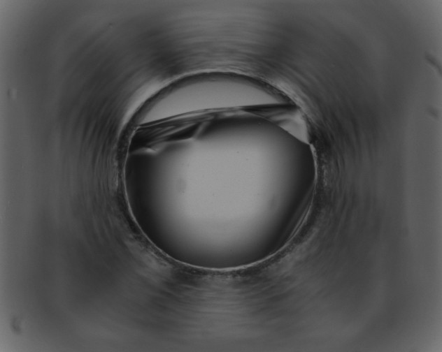 X0000093121069200710171241