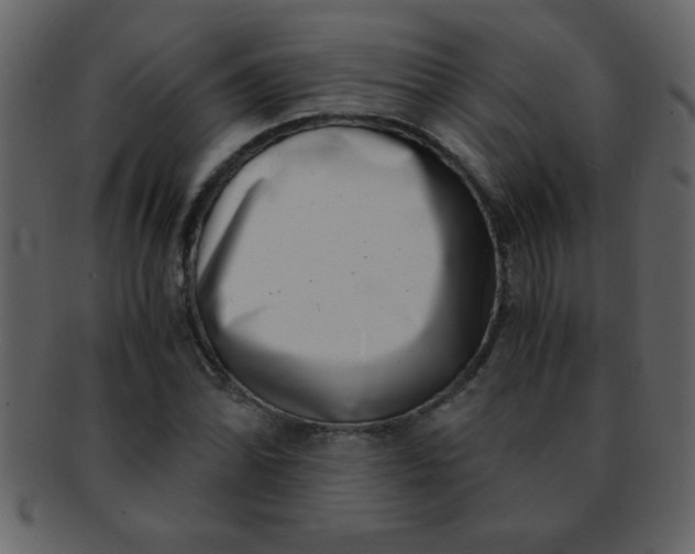 X0000093121070200710171241