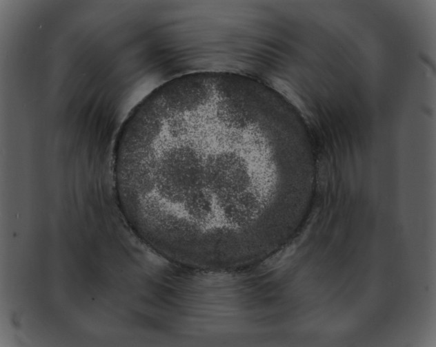 X0000093121071200710171240