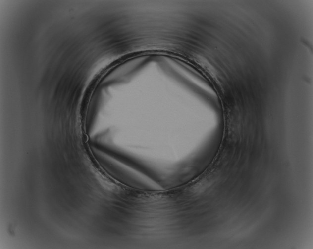 X0000093121072200710171240