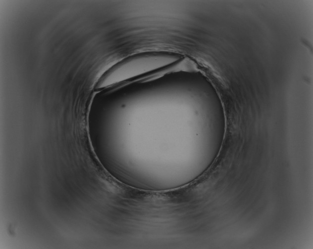 X0000093121073200710171240