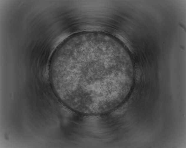 X0000093121074200710171240