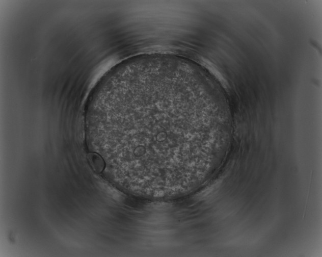 X0000093121075200710171240