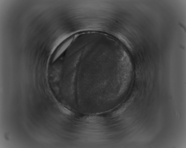 X0000093121077200710171240