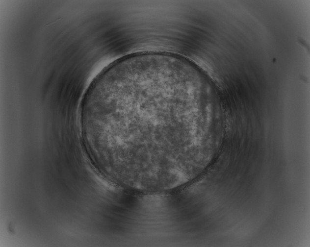 X0000093121078200710171240