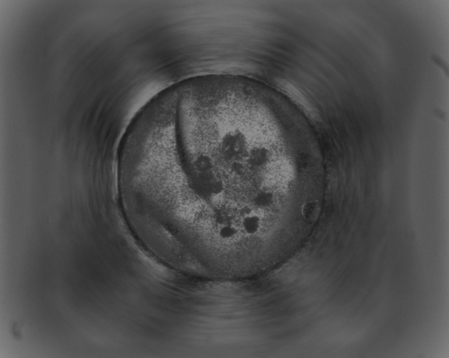 X0000093121079200710171240