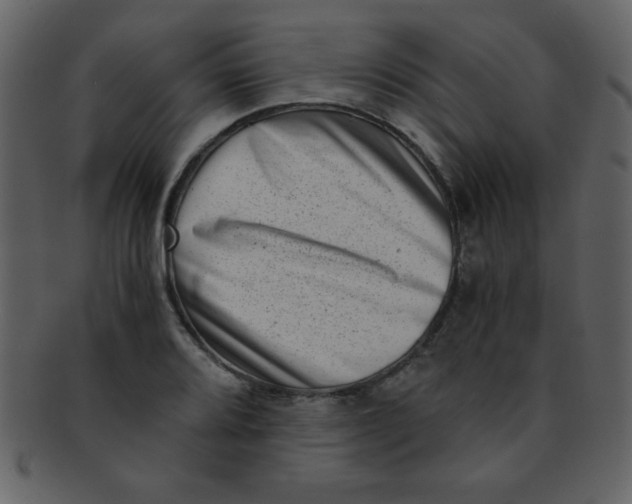 X0000093121080200710171240