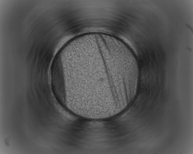 X0000093121082200710171240