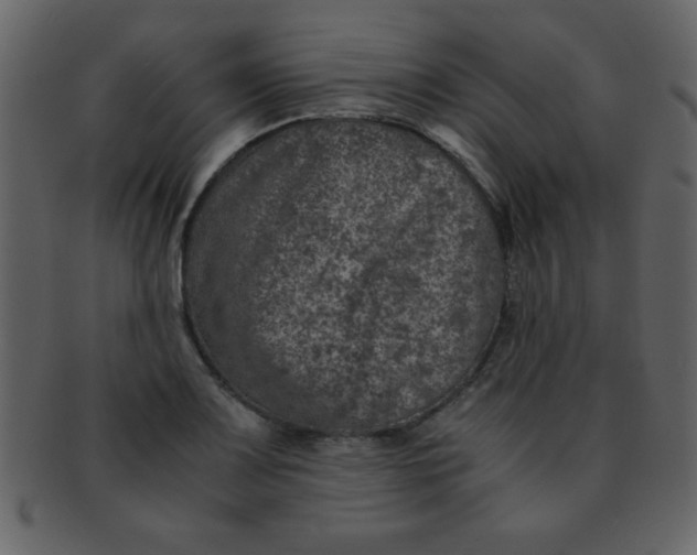 X0000093121083200710171240