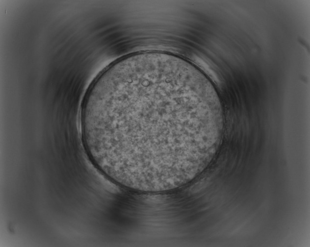 X0000093121084200710171240