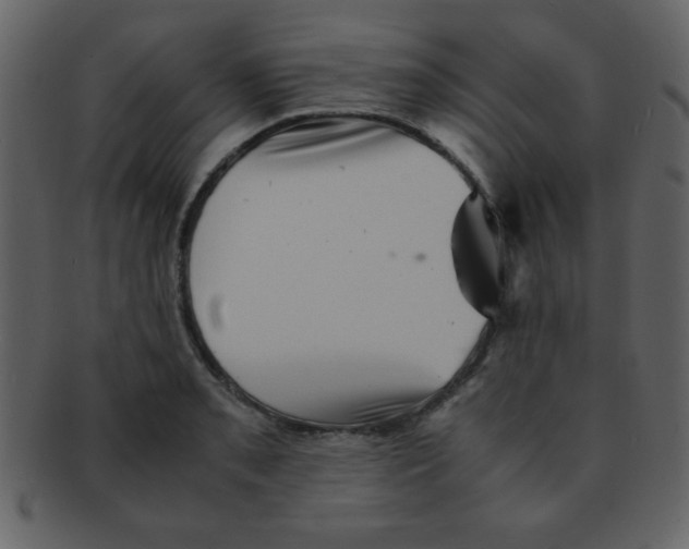 X0000093121085200710171240