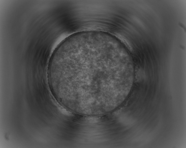 X0000093121086200710171240